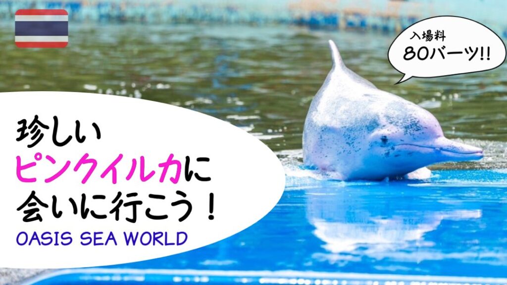 ご当地キティ しながわ水族館 品川水族館 ピンク イルカ 珍しいピンクイルカに会える水族館オアシス・シー・ワールドに行ってき